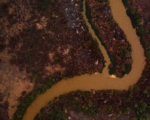 An aerial view showing some of the fire damage in Brazil's Pantanal. Source - Phys.org