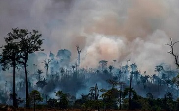 Smokes rises from forest fires in Altamira in August. Farm owners have scuffled with forest defenders in the Amazonian city. Photograph: Joao Laet/AFP/Getty Images