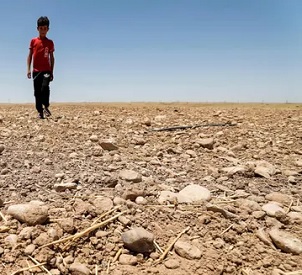 A boy walks through a dried up field in eastern Iraq, which suffered a blistering summer heatwave and drought this year. Photograph: Ahmad Al-Rubaye/AFP/Getty Images