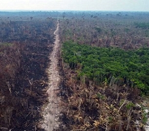 Deforested areas rim a highway running through the state of Amazonas in Brazil. Credit: Michael Dantas/AFP/Getty