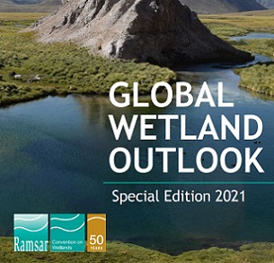 Global Wetland Outlook, Special Edition 2021. Credit - Ramsar Convention Secretariat