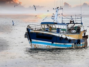 Fishing boat (file picture). Source: istock.com