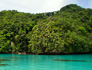 Conservation and Ecosystem Recovery on Ngeanges Island, Palau. Credit - https://www.islandconservation.org
