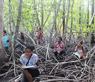 women engaing in mangrove monitoring. Credit - TNC