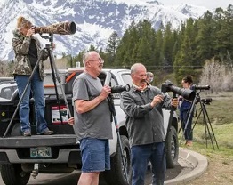  Visitors gather along the side of the road to try to photograph a grizzly bear with her cubs on Monday afternoon. Photograph: Gabriela Campos/The Guardian