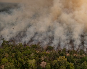 Fire in an area newly deforested registered by Deter (Real Time Deforestation Detection System), in Porto Velho, Rondônia state. Taken 16 Aug, 2020. CREDIT: © Christian Braga / Greenpeace