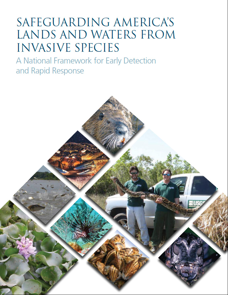 Invasive Species | PIPAP