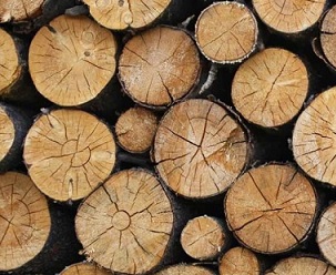 commercial logging. credit - 123RF