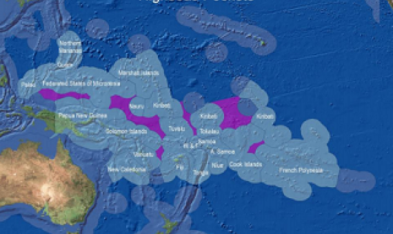 Could Covid help to protect the Pacific’s fisheries?