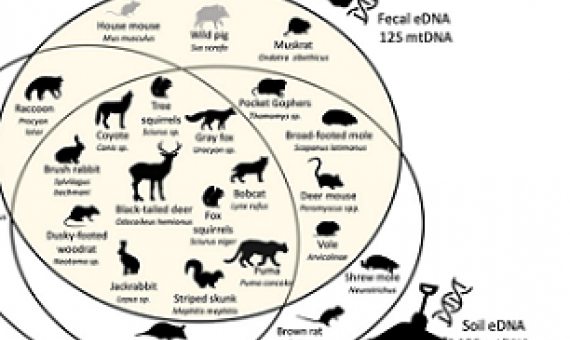 Venn diagram shows species recorded in Stanford's Jasper Ridge Biological Preserve. Credit - MEYERS, ET AL. / FRONTIERS IN ECOLOGY AND EVOLUTION