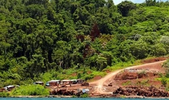 A logging base in Munda, Western province. Source - https://www.solomonstarnews.com/