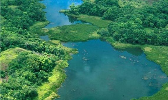 Lake Ngardok Nature Reserve, Palau. Credit - C. Joseph