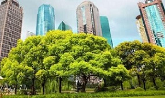 Urban nature based solutions to climate change. Credit - Shutterstock