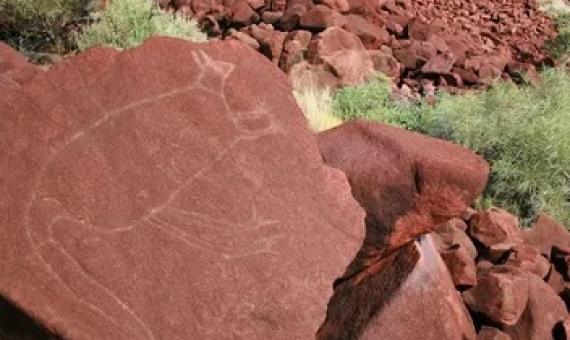 Rock engravings at Burrup Peninsula in Western Australia part part of the Murujuga cultural landscape and the country’s largest collection of rock art. Photograph: Ken Mulvaney