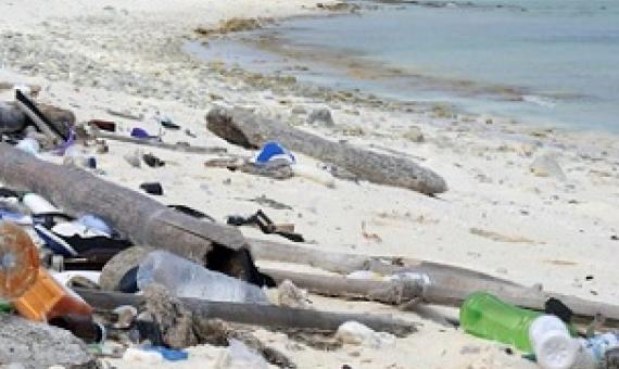 Plastic pollution is washed on to beaches during storms. Credit - Getty Images