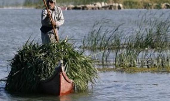 An Iraqi Marsh Arab paddles his boat as he collects reeds at the Chebayesh marsh in Dhi Qar province, Iraq April 14, 2019. Picture taken April 14, 2019. REUTERS/Thaier al-Sudani