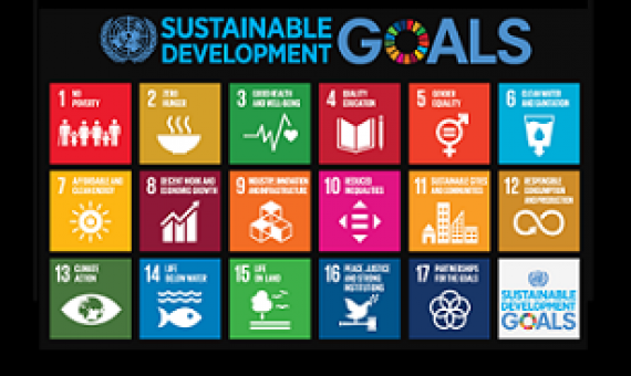 sustainable development goals. credit - www.un.org