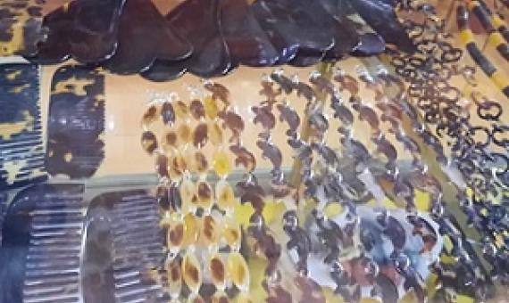 Over $36,000 worth of turtle shell jewelry seized. Credit - Leilani Reklai, www.islandtimes.org