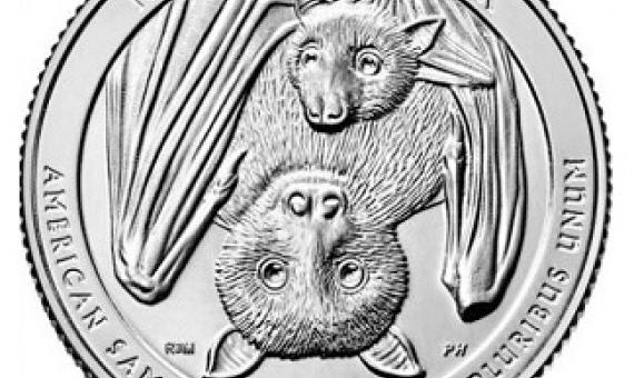 The Samoan fruit bat is being featured as part of the America the Beautiful Quarters program. Source - www.cnn.com
