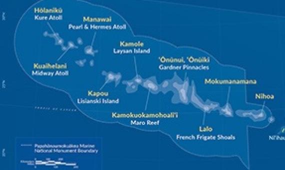 Hawaii marine monument expansion’s impact on fishing debated 5 years later