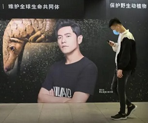 A billboard in Beijing encouraging people to protect pangolins. Photograph: Mark Schiefelbein/AP