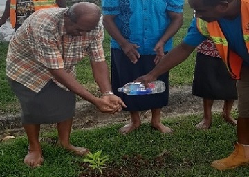 Nearly 200,000 trees planted in Fiji