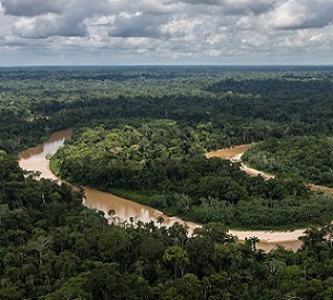 The Amazon rainforest is often called "the lungs of the world." It produces oxygen and stores billions of tons of carbon every year. The Amazon rainforest covers more than 60% of the landmass of Peru. Credit: USDA Forest Service photo by Diego Perez