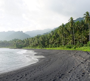 Coconut plantations lining the black sandy shores of Baniata village. Credit - Chris Vogliano