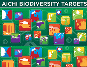 Aichi biodiversity targets. Credit - CAFF Secretariat