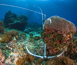 Anchoring on a coral reef. Credit - www.pata.org