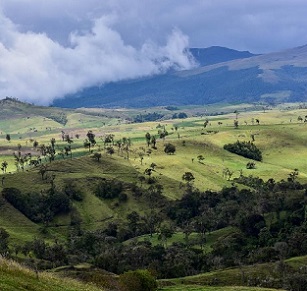 Scientists note that climate change is expected to impact 58% of montane forest in the Peruvian Andes. Credit - Alliance of Bioversity and CIAT / N.Palmer