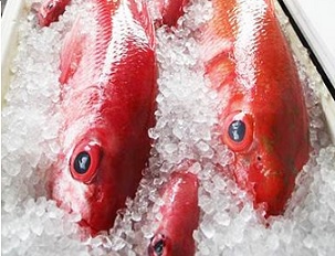 The SSC will set the acceptable biological catch for the American Samoa bottomfish fishery for fishing years 2021-2022. [courtesy photo]