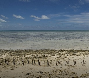 Climate change a 'threat' to Pacific Food Systems. Credit - www.emtv.com.pg
