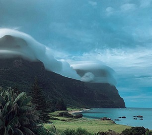 A balanced ecosystem helps the cloud forest appear at the top of Lord Howe Island mountains.(Supplied: Bree-Anna Brunjes)