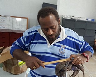 Issues such as over-exploitation and over-harvesting has led to the temporary ban, said the Acting Manager of the DoF’s Policy Division, Christopher Author. Credit - Vanuatu DoF