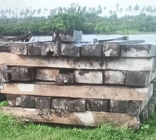 COI reveals Illegal Logging in Batbang, Aore, Matevulu, VATHE. Credit - COI report