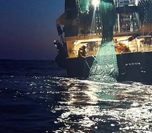‘t’s time to see the oceans in a new light.’ Still from the documentary Seaspiracy. Photograph: Sea Shepherd