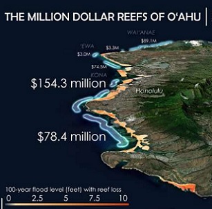 Each kilometer of the highlighted reefs on this map of Oahu provides over $1 million in flood protection benefits each year. Credit: Map by Chris Lowrie and Jessica Kendall-Bar