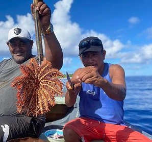 Two men on Pukapuka retrieve a single taramea (crown-of-thorns) from the reef. KO TINGA/21042238