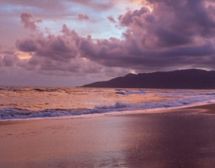 Sunset on the beach in Ujung Kulon National Park, Java (Photo by Robin Moore, Global Wildlife Conservation)