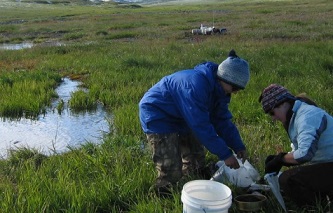 Graduate students Heidi Rantala and Stephanie Parker of the University of Alabama collect benthic samples from the Upper Kuparuk Spring, part of the Arctic Long Term Ecological Research (ARC LTER) site at Toolik Lake. Photo by Jon Benstead, University of Alabama.