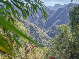 A Sichuanese forest ranger on patrol in the Giant Panda National Park. Credit -  Kyle Obermann