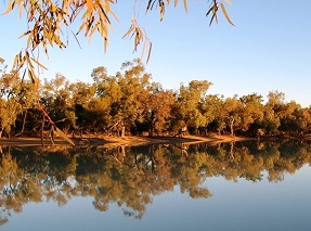 Currawinya National Park Queensland Australia. creative commons