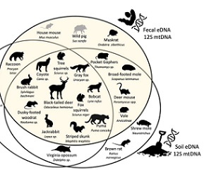 Venn diagram shows species recorded in Stanford's Jasper Ridge Biological Preserve. Credit - MEYERS, ET AL. / FRONTIERS IN ECOLOGY AND EVOLUTION