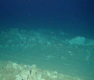 Plow tracks are still clearly visible on the seafloor of the DISCOL area 26 years after the disturbance. Credit: ROV-Team/GEOMAR