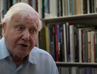 David Attenborough says the moment of crisis has come. (ABC News)