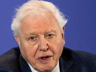 David Attenborough spoke to the Big Issue in early March, before the UK went into lockdown. Photograph: Reuters