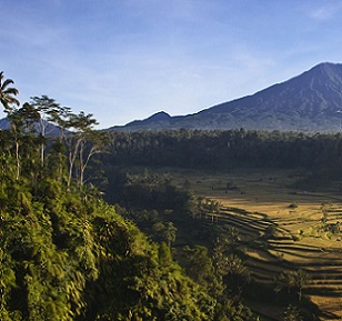 In Bali, Aboriginal people grow crops in the midst of a diverse tropical forest. EDUCATION IMAGES/UNIVERSAL IMAGES GROUP VIA GETTY IMAGES