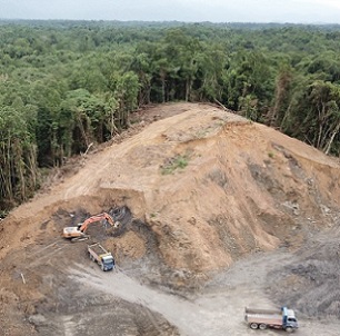 Earthmovers clear trees for a palm oil plantation in Malaysia. (Credit: Rich Carey/Shutterstock)