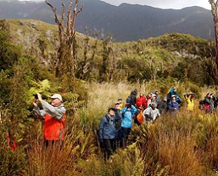 Heritage Expeditions tour of Doubtful Sound. Credit - KATE EVANS/STUFF